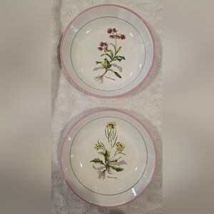 2pc La Primula 8.25in. Floral / Botanical Pasta Bowls Made In Italy